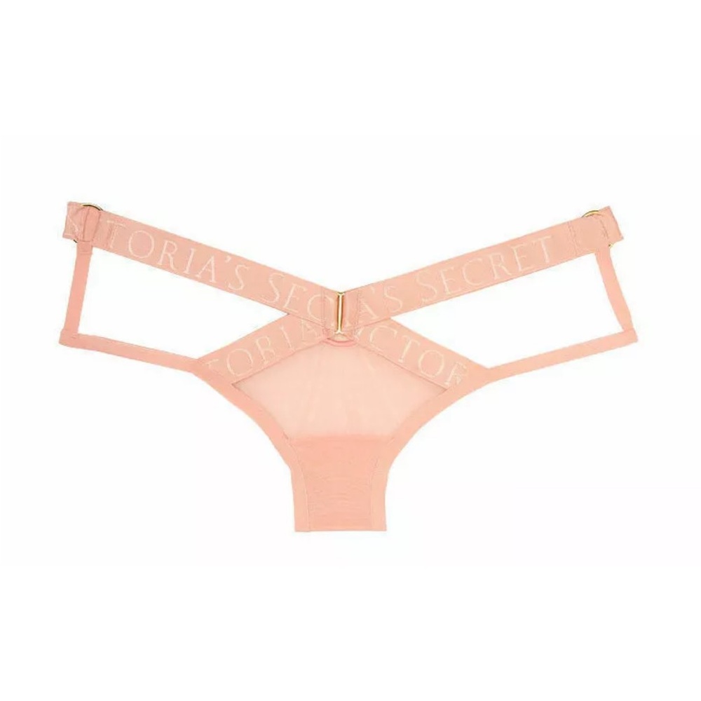 Bundle of 2 pair of Victoria's Secret Very Sexy Mesh Cheeky Panty, Blush Pink